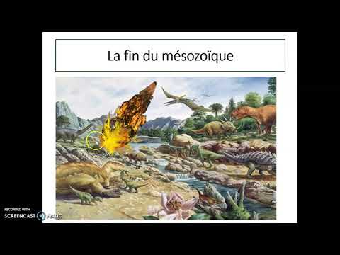Le mésozoïque
