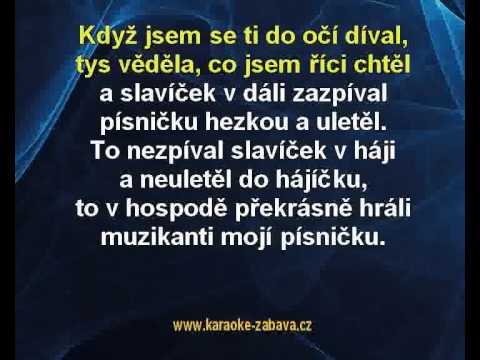 Karaoke klip Muzikanti pojďte hrát - lidová