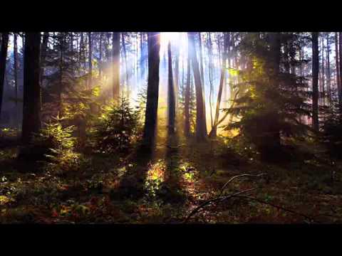 Jan Johnston feat. (Tenishia)