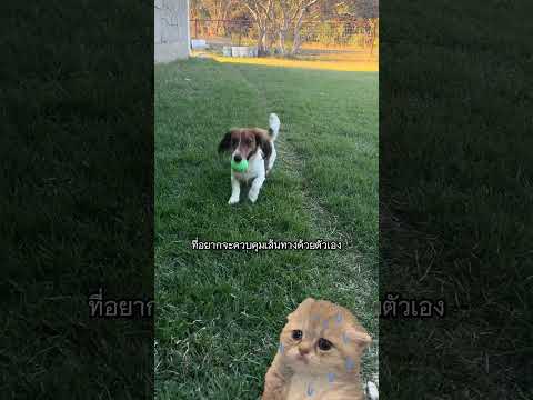 ทางลัดเลาะ