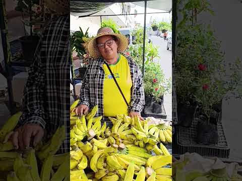 feira livre de João Alfredo