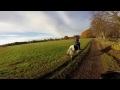 Horse Riding In London