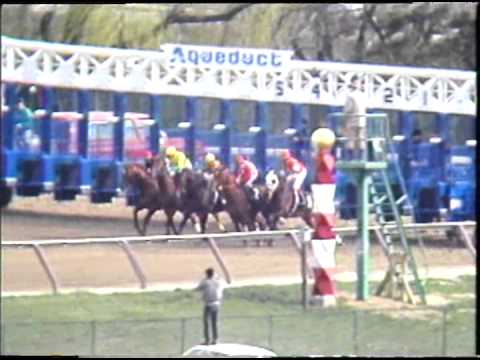 Easy Goer - 1989 Gotham (G2)
