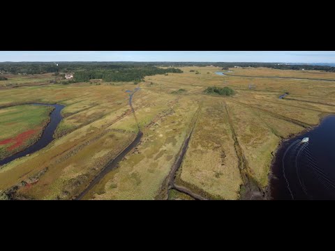 The Threat of Long-Term Sea Level Rise to Guilford, Madison, and the East River Marsh