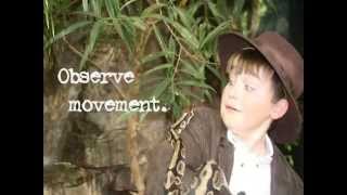 How to Be an Explorer of the World