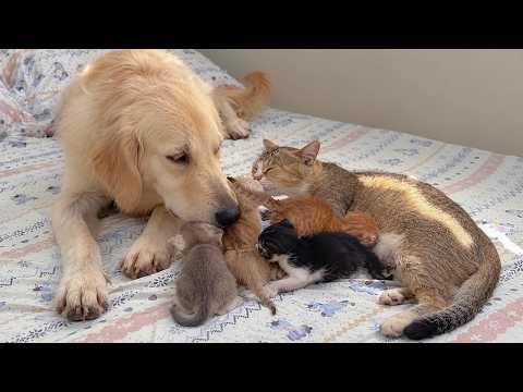 YouTube 썸네일