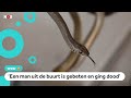 Problemen door gevaarlijke giftige slangen in India
