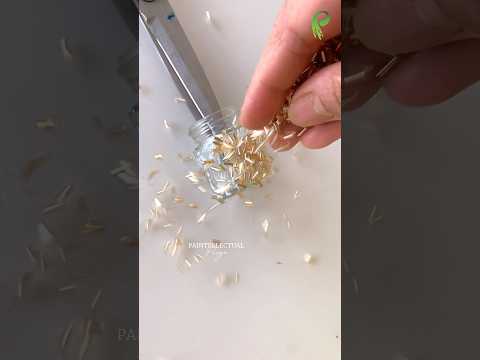 DIY Old Bottle Home Decor 😱 #shorts