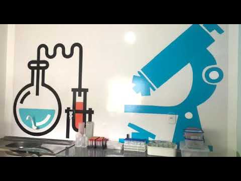 Prefeito Carlos do Biné fala sobre os desafios com a área da saúde do município de Pio XII