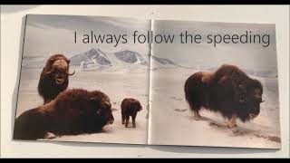 Interpol - Pace Is The Trick I HQ I +[ English Lyrics ]