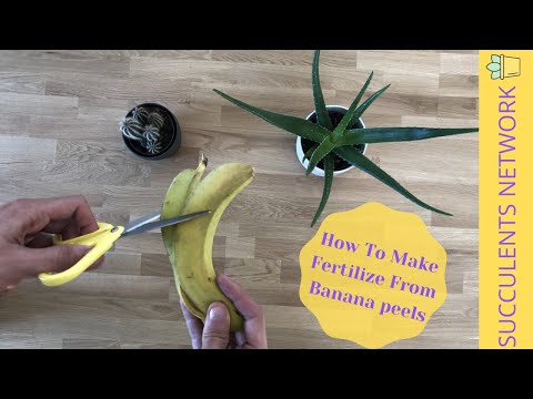 Easy To Make Banana Peel Fertilizer
