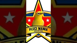 Download lagu pleci tembakan wit wit wit brem cimblek mp3