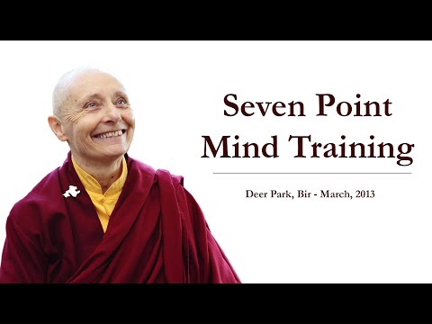 7 Point Mind Training - Deer Park - March, 2013