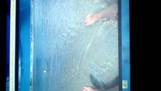 Nobodys Fool; Miranda Lambert cover