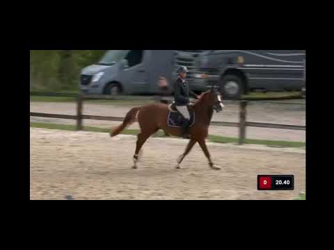 Wicardo hof ter wallen clearround 4y cyclus basecles