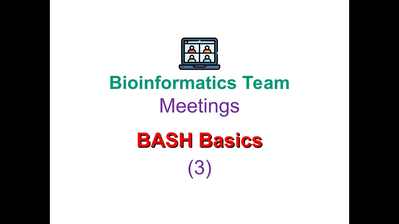 Bash Basics (3)