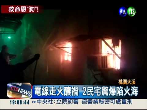 愛犬狂吠驚醒 75歲婦及時逃火場