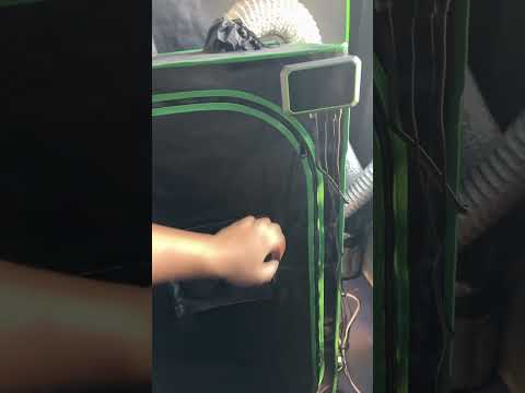 2x2 VIVOSUN tent 200w Aero light