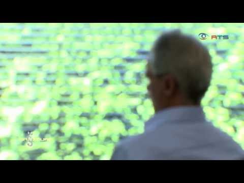 Im Kreis der Anonymen Alkoholiker