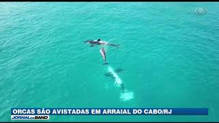 Miniatura do vídeo