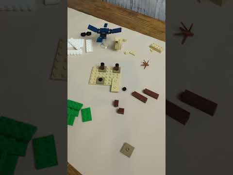 LEGO Minecraft Steve's Desert Expedition (21251) Stop Motion #lego #legobuilder #minecraft