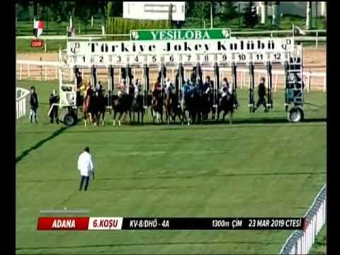 AFRİKAANDER    KV-8/4+A        23/03/2019       ADANA