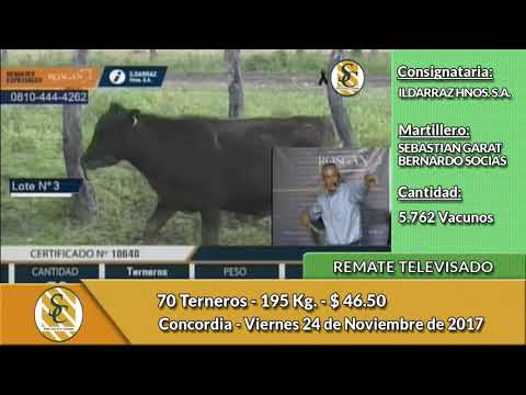 24-11-17 - Remate Televisado de Ildarraz Hnos  S.A - Concordia
