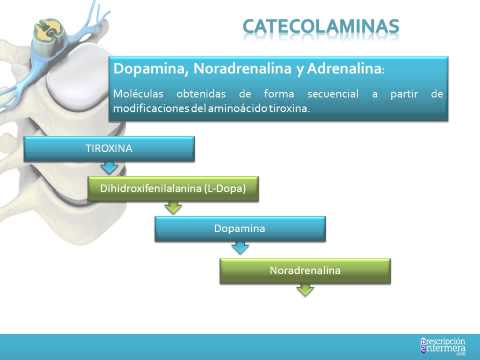 INTRODUCCION A LA FARMACOLOGIA DEL SISTEMA NERVIOSO AUTONOMO SNA