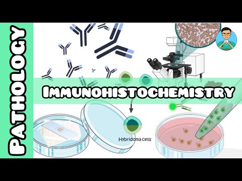 Immunohistochemistry | Pathology | USMLE, NCLEX