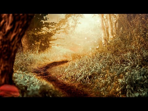 The Ambientalist - Mysteries Unfold (2021 Extended Mix)