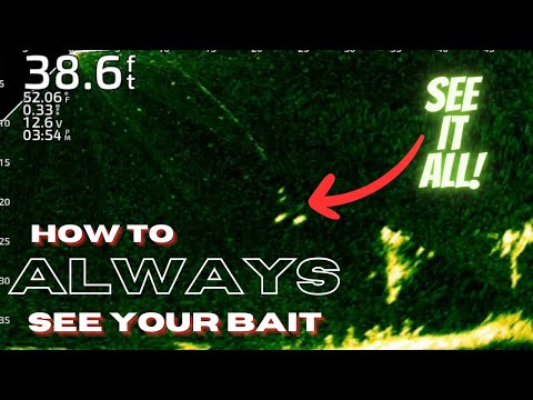 How to Always See Your Bait On LIVESCOPE