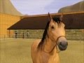 ~ Sims 3 ~ Spirit Stallion of the Cimarron ~ Part 3 ...