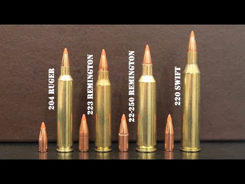 204 Ruger vs 223 Remington vs 22-250 Remington vs 220 Swift Review & Comparison
