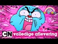 Gumball | Het Drama (Volledige aflevering in het Nederlands) | Cartoon Network