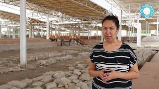 "Бір жәдігер тарихы: Алтын көмбе"