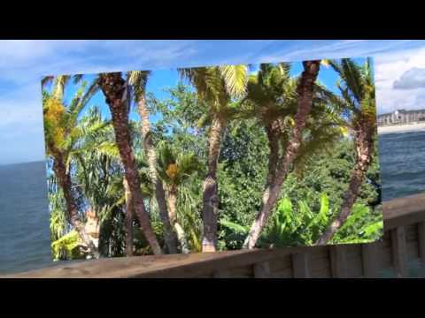"On the Island" music video