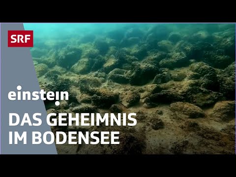 Mysteriöse Steinhügel im Bodensee – Erforschung archäologischen Strukturen | Einstein | SRF Wissen