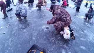 Рыбалка в козьмодемьянске зимой
