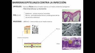 Sistema inmune (Parte 1) - Biología Celular y Tisular