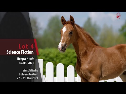 Westfälische Online Auktion-Fohlen Lot 4 Science Fiktion Hengst v. Secret - Rotspon