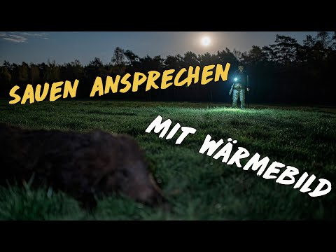 Mit Wärmebild richtig ansprechen