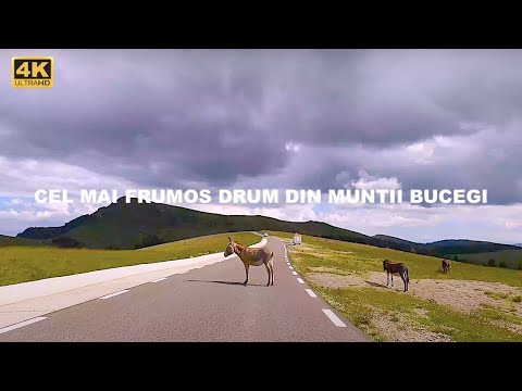 DJ 713 TransBucegi | Cabana Piatra Arsa - Cabana Dichiu | 4K