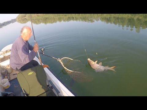 Pecanje šarana na Savi - Dubinsko pecanje šarana I deo | Fishing carp in river