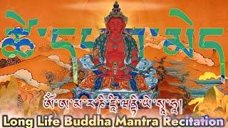 Download lagu 🕉️Long Life Buddha Mantra(Om Amarani Jivantaye Soha) Recitation| ཚེ་དཔག་མེད - Amitayus Buddha mp3 Download lagu 🕉️Long Life Buddha Mantra(Om Amarani Jivantaye Soha) Recitation| ཚེ་དཔག་མེད - Amitayus Buddha mp3