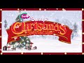 Winter Wonderland From Barney S Christmas Spectacular W Snowflakes