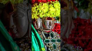 Download lagu KANTHA SASHTI.day.4. mp3 Download lagu KANTHA SASHTI.day.4. mp3