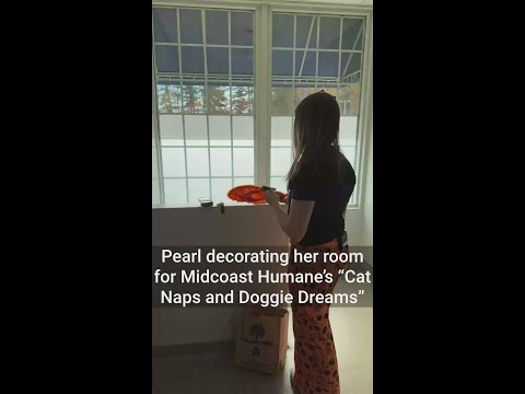 Midcoast Humane's Cat Naps and Doggie Dreams - YouTube