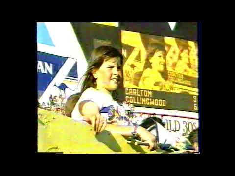 Infinite Universes at VFL Park 1988 Round 5 Third Quarter