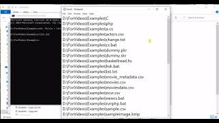 Download the video "Export list of files, folders including subfolders to a txt file from command line"