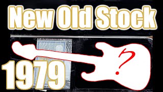 Video thumbnail for These Rare Strats Have Been Sealed Since 1979! | NOS 25th Anniversary Stratocaster by The Trogly's Guitar Show